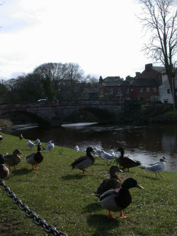 Appleby Shops and Services Appleby Directory A2A Advertising